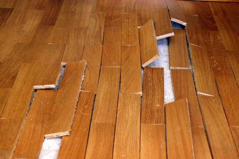 Remplacer du parquet suite à un dégât des eaux dans une boutique à Lyon 7